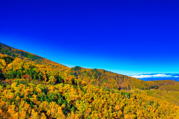 Autumn leaves of Yatsugatake and Asama Mountains in the sea area