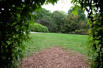 path in the park