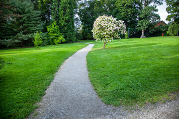path in the park
