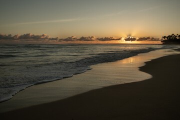 sunset on sandy beach waves coming to shore golden glow and reflection of sun on sand white foamy waves coming into shore and receding leaving wet sand reflecting sunrise