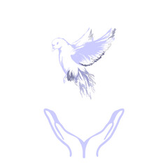 pigeon circling over the world