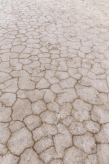 Parched soil with many cracks, in Carmargues. Arles.