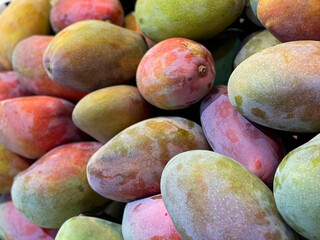 Ripe fresh tropical mango fruits close up on farmers market in Málaga, Spain