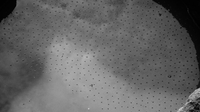 Black and white photograph of bacterial eggs in the water.