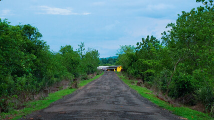 Landscape of a rural road in the evening