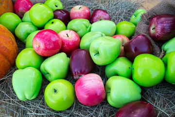 Apples of green and red color lying on the hay in autumn on a clear sunny day. Food, vegetables, agriculture, healthy foods.