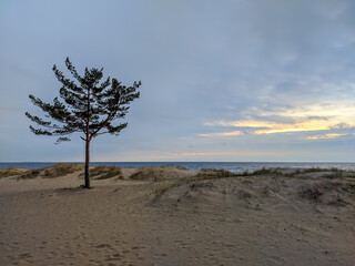 Cloudy evening at the beach in Komarovo.