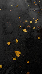 Beautiful yellow leaves fallen on the black road during rain