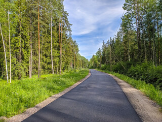 Fototapeta na wymiar Beautiful view of forest road in sunny day.