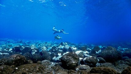 Naklejka na ściany i meble Snorkeling girl swimming with turtle underwater