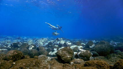 Snorkeling girl swimming with turtle underwater