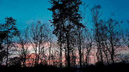 Landscape of beautiful twilight sky behind woods.