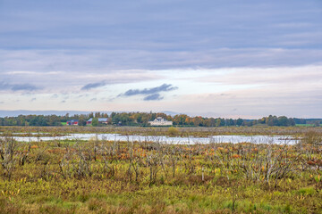 Fototapeta na wymiar View at a wetland with a manor house in the background