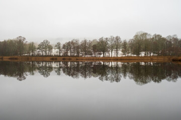 Fototapeta premium Gray December weather by a lake with reflections