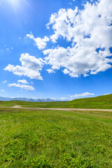 Green grass field with blue sky background.