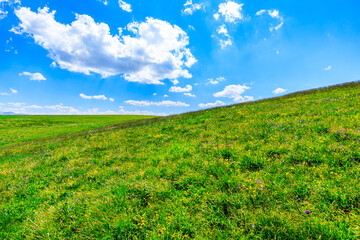 Green grass field with blue sky background.Green grassland landscape in Xinjiang,China.