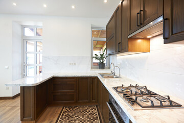 Modern wooden kitchen in scandinavian interior with cooking appliances. Real image