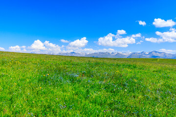 Green grass and mountain with blue sky background.Green grassland landscape in Xinjiang,China.