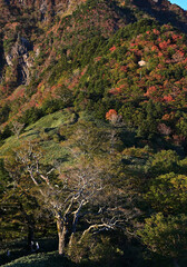 西日本最高峰の四国の百名山「石鎚山」の秋