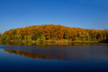 autumn trees reflected in lake - 463247014