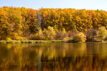 autumn trees reflected in water - 463247016