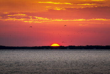 migratory geese pass by the sound-side sunset in the North Carolina outer banks islands 