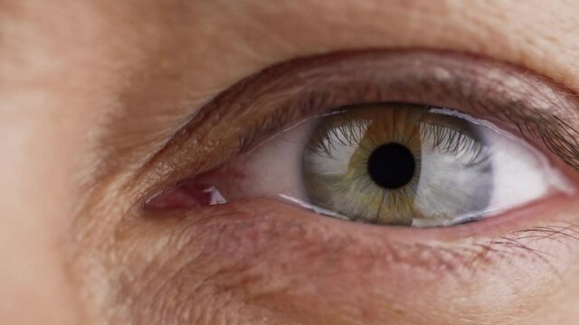 Close-up of a Woman's Eye. Pupil Dilating In Slow Motion