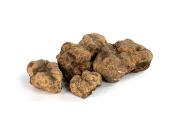 tartufi bianchi d'Alba