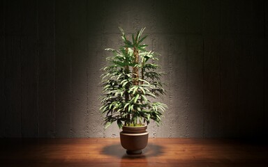 Decorative flowers in a vase on the table. 3D illustration, cg render