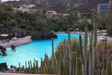 Kakteen, Sukkulenten, Wolfsmilchgewächs, Spanien, La Palma, Pool, Hotel, Garten