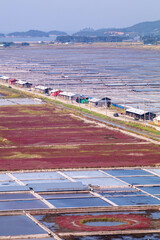 Obraz premium 염전 鹽田, saltern