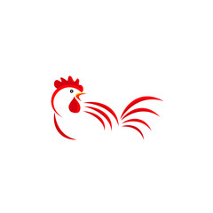 modern rooster isolated on white