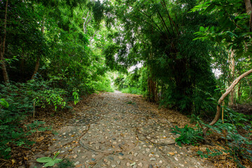Panoramic nature background (mountains, sea, trees, twilight lights in the sky, waterfront communities), naturally blurred through the wind, seen on tourist spots or scenic spots