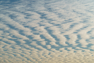Blue and white colors of the sunset over Moscow city in the autumn. Pictiresque cloudscape. Suitable as backgrounds, backdrops. Concepts of the beauty in nature.