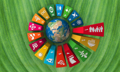 3D rendering Sustainable Development Wheel Illustration inside an organic leaf for Corporate social...