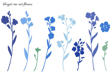 Forget-me-not flowers vector illustration isolated on white background, colorful silhouette, decorative herbal doodle, for design medicine, wedding invitation, greeting card, floral cosmetic
