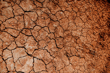 cracked in the ground