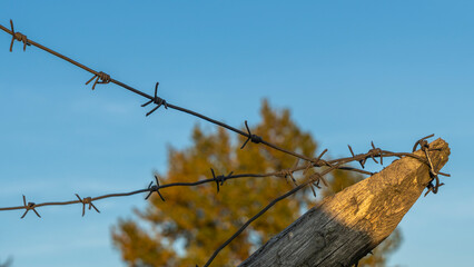 Wooden anti-tank barrier from World War II. Anti Hedgehog Barbed Wire on dramatic sky background.