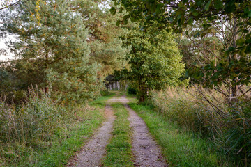 Path in the park