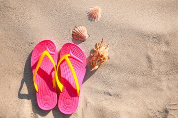 Stylish flip flops and sea shells on beach, flat lay