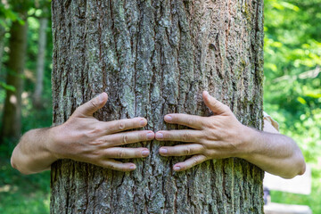 embrassing the old tree gives a good feeling