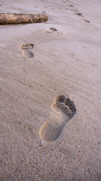footprints on the beach