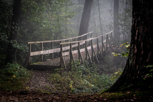 Holzbrücke im Nebel im Wald