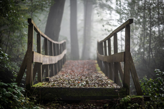 Holzbrücke im Nebel im Wald 2