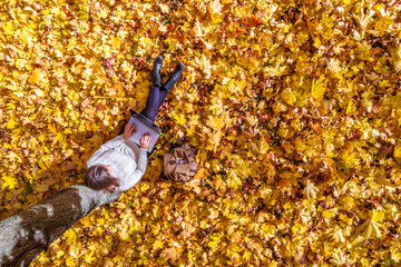 Top view. Beautiful young student woman with laptop sitting under tree  on the autumn maple leaves...