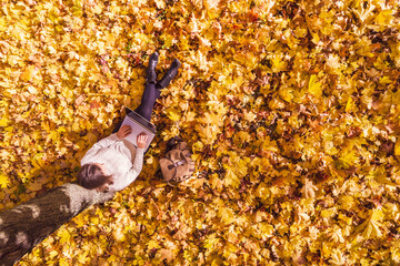 Top view. Beautiful young freelancer woman with laptop sitting under tree  on the autumn maple...