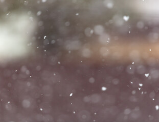 Obraz premium Snow in flight in winter.