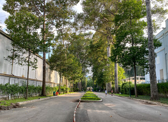 Road with many trees in downtown Saigon, Vietnam