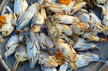 Selling crab at rural market in Southern Vietnam
