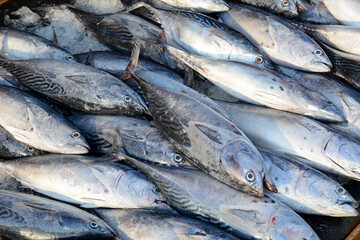 Obraz premium Selling fish at rural market in Southern Vietnam